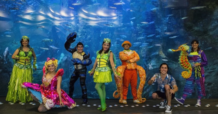Honu By The Sea Musical - Group